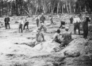 Residents of an institution dig ditches, circa 1900